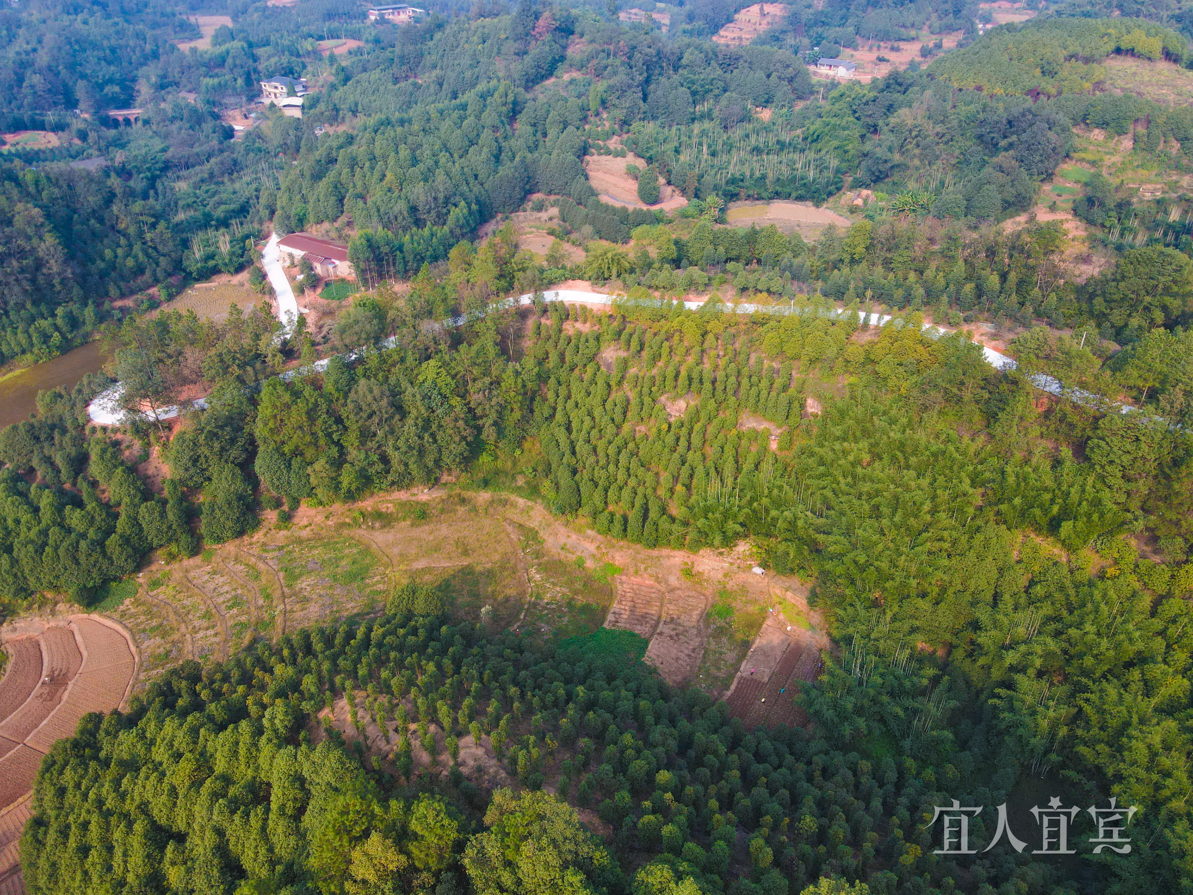 观音镇是今年叙州区实施农村公路项目最多的乡镇,通组道路项目计划