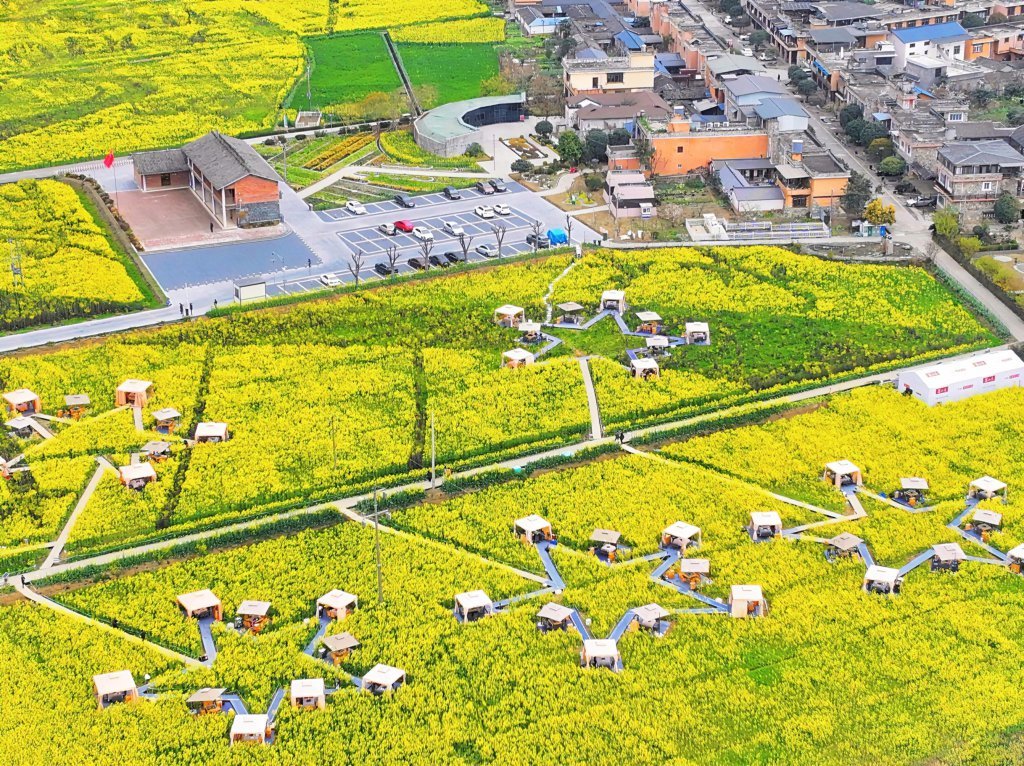 朱志宏 摄3月7日一早,泸州市龙马潭区金龙镇高标准农田建设项目现场
